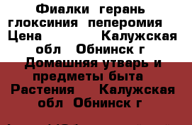 Фиалки, герань, глоксиния, пеперомия, › Цена ­ 50-150 - Калужская обл., Обнинск г. Домашняя утварь и предметы быта » Растения   . Калужская обл.,Обнинск г.